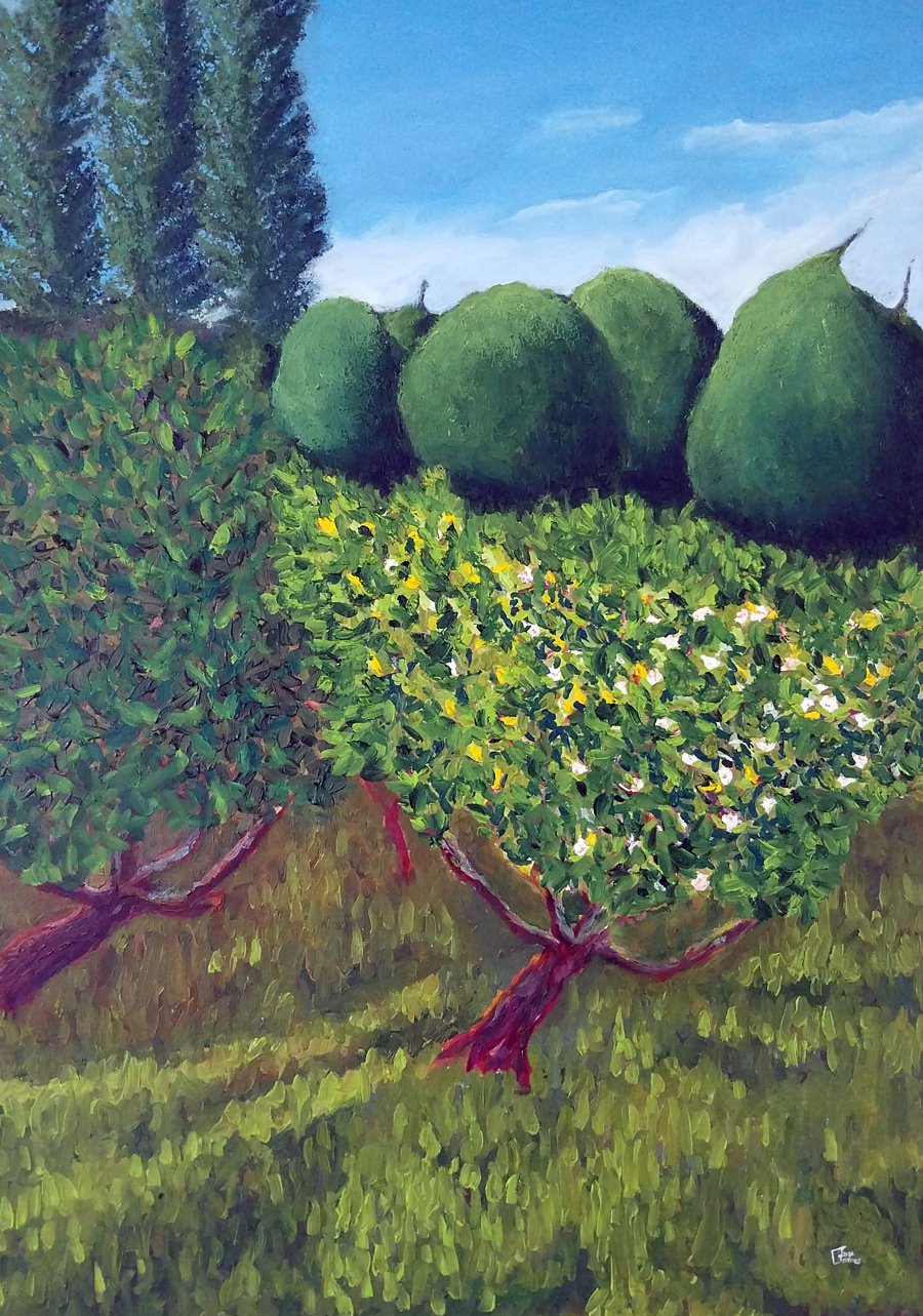 josé gomes artiste peintre