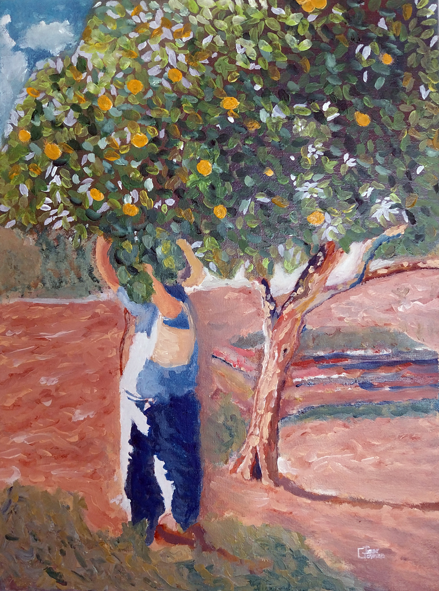 josé gomes artiste peintre