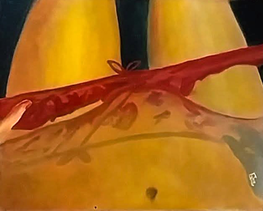 josé gomes artiste peintre